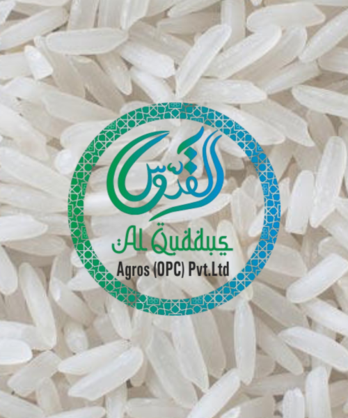 PR 14 RAW RICE
