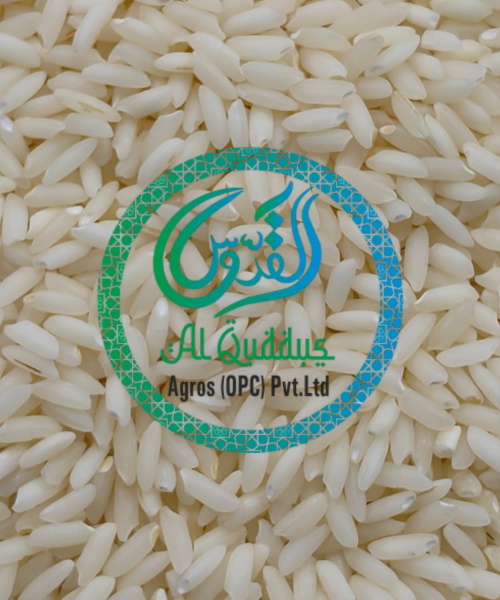 SONA MASOOR RAW RICE